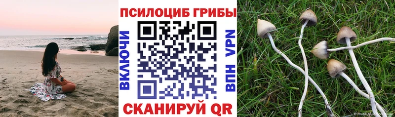 Псилоцибиновые грибы мицелий Малоархангельск