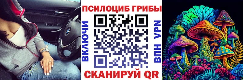 Псилоцибиновые грибы GOLDEN TEACHER  Купить  Малоархангельск 